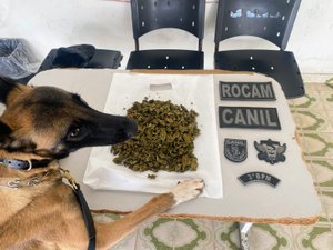 Adolescente é apreendido portando maconha após denúncia em Arapiraca