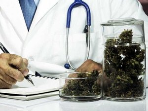 Anvisa aprova primeiro produto à base de maconha no País