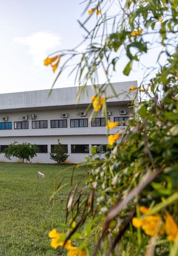 Justiça Eleitoral se pronuncia sobre polêmica envolvendo propaganda política na Ufal de Arapiraca