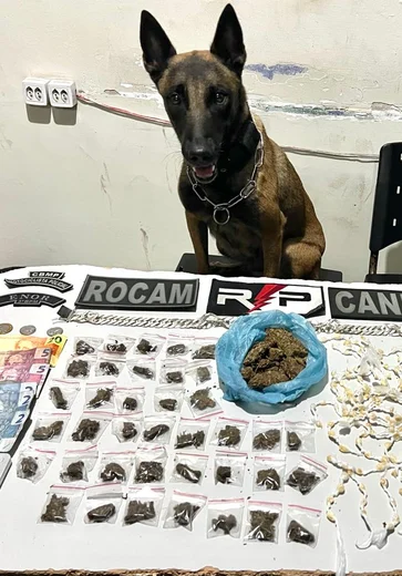 Traficante é preso no Alto do Cruzeiro com a ajuda de cão farejador