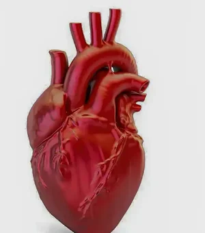 A cada 72 segundos, uma pessoa morre por doença cardiovascular no país
