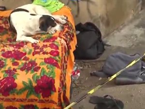 Homem em situação de rua é morto a pedradas e corpo é encontrado caído na calçada em Maceió