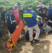 Motoqueiro passa mal e cai em plantação na rodovia AL-220