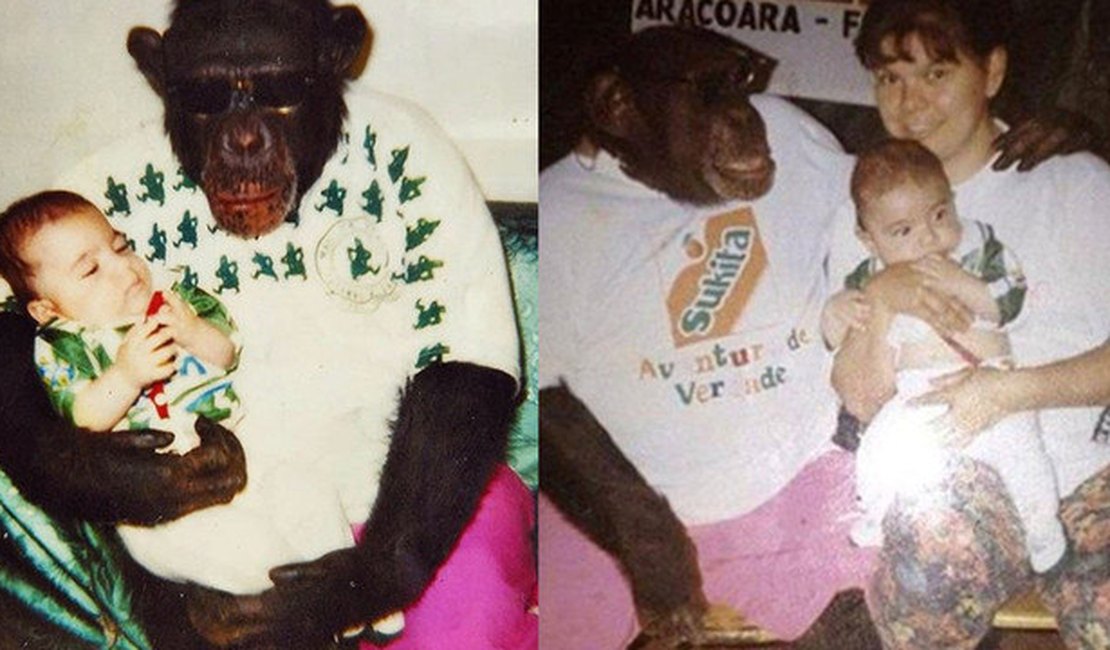 Tarzan brasileiro: jovem viraliza com foto embalado por chimpanzé