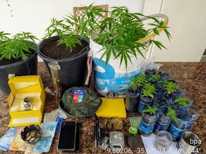 Homem é preso com pés de maconha e arma de fogo em Jacarecica 