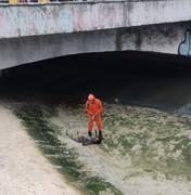 Bombeiros são acionados para resgatar homem que caiu no Riacho Salgadinho