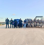 Ação integrada entre a PM de Alagoas e Sergipe resulta na prisão de suspeito de homicídio