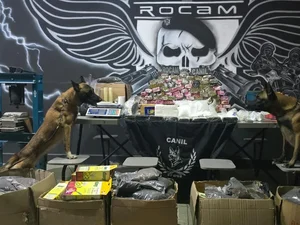 Casa abandonada usada como depósito de drogas é descoberta em Arapiraca; mais de 50 kg de entorpecentes são apreendidos