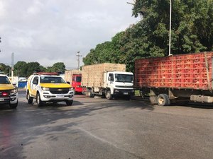 BPRv apreende caminhões com aves sem certificação sanitária em Alagoas 