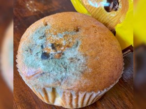 Bauducco deve pagar R$ 3 mil de indenização após cliente adquirir bolinhos mofados