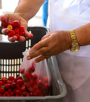 Governo de AL regulamenta Política Estadual da Agroecologia e Produção Orgânica