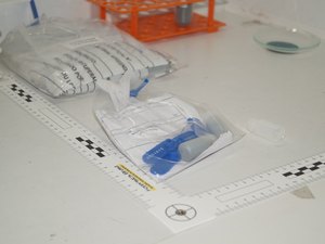 Polícia Científica alerta para os perigos de comercialização irregular de chumbinho