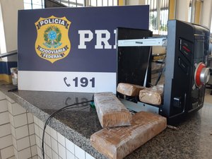 Ação conjunta da PRF e Canil do 3° BPM prende motorista de ônibus clandestino e apreende 3kg de maconha