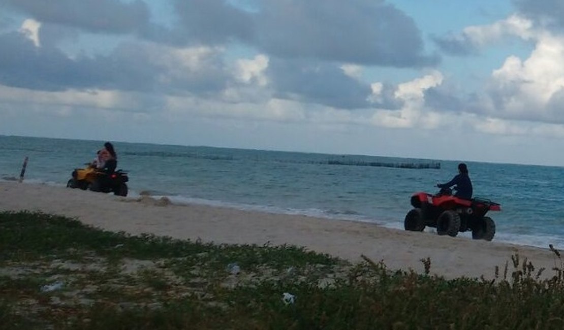 Mesmo proibido, tráfego de veículos volta a ser registrado em praias de Maragogi