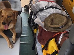 Fiel, cão acompanha dono até sua internação em hospital no DF