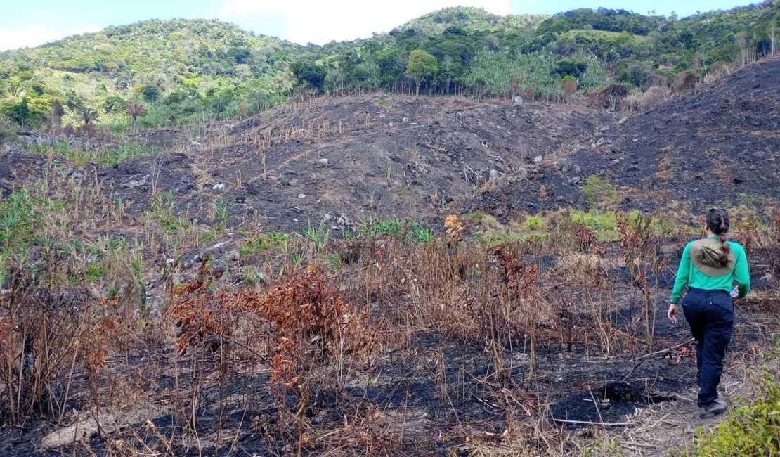 IMA alerta população sobre riscos de queimadas durante período seco e de baixa umidade em AL