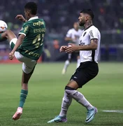 Botafogo elimina Palmeiras e avança na Libertadores após virada anulada pelo VAR