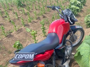 Moto roubada é abandonada em plantação de fumo em Arapiraca