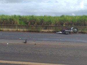 Motociclista colide na traseira de caminhão e morre na AL-220 em Campo Alegre