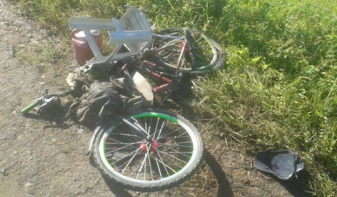 Condutor atropela casal na AL 115 e foge em seguida