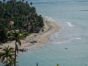 Reserva da Bica vira ponto de observação de tartarugas marinhas em Japaratinga