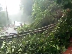 [Vídeo] Barreira com árvore cai e por pouco atinge carro em Fernão Velho