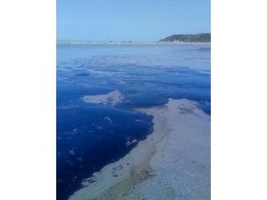 Vídeo mostra impressionante chegada de petróleo na Praia de Japaratinga