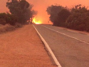 Garoto de 12 anos dirige picape e foge com cachorro de incêndio 