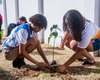 Alagoas Mais Verde: programa de arborização do IMA contabiliza mais de 1,6 mi de mudas plantadas