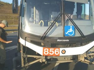 Alagoano tenta jogar ônibus de viaduto em Pernambuco