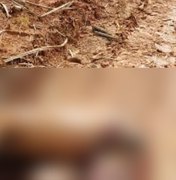 Corpo com marcas de tiros é encontrado em canavial no Norte de Alagoas