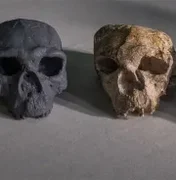 Crânio de 1 milhão de anos desafia crenças sobre evolução humana