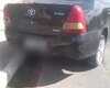 Motorista que atropelou e matou quatro cachorros em Maceió é identificado pela Polícia Civil
