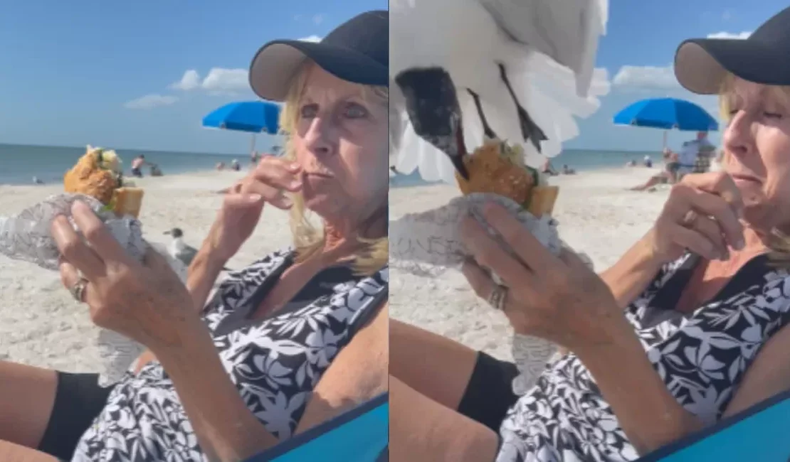 Gaivota surpreende turista e rouba pedaço de lanche em praia nos EUA