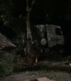 Caminhão colide em árvore e sai da pista no município de São Miguel dos Campos