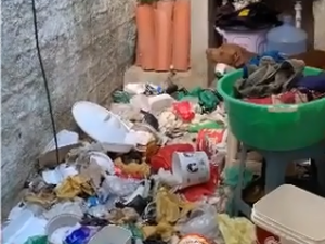 Pitbull em situação de maus-tratos é resgatada na Jatiúca, em Maceió