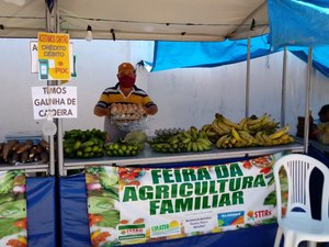 Feira da Agricultura Familiar promove venda de alimentos sem agrotóxicos