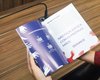 OAB/AL registra 26 casos de linchamento no primeiro semestre de 2026