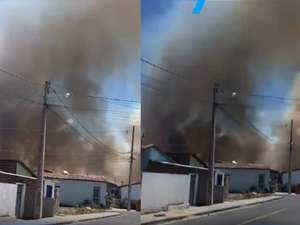 Incêndio volta a atingir zona rural de Cacimbinhas pelo segundo dia consecutivo