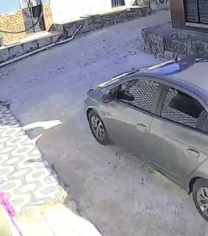 Homem que atropelou e matou cadela no São Jorge se apresenta à polícia