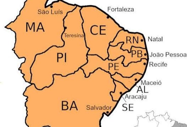 Uma análise crítica do comportamento eleitoral de parte do eleitorado de esquerda no Brasil; os fatores que influenciam o voto