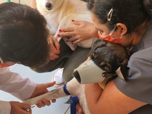 Complexo Tarcizo Freire realiza ação de controle e prevenção a Leishmaniose