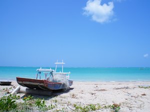 Verão Maragogi: Praia de Burgalhau é linda por natureza