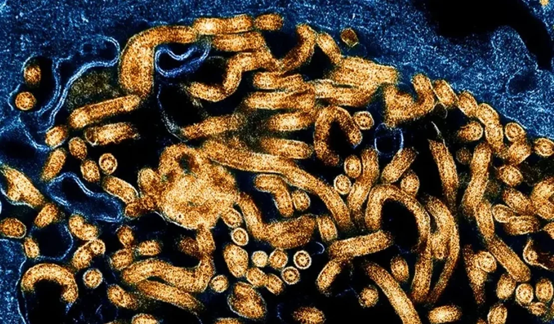 Surto: CDC da África confirma 395 casos de ebola e 106 mortes