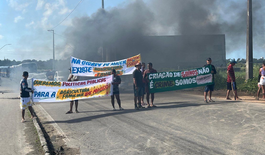 [Vídeo] Manifestantes bloqueiam Av. Rota do Mar contra apreensão de suínos em Maceió