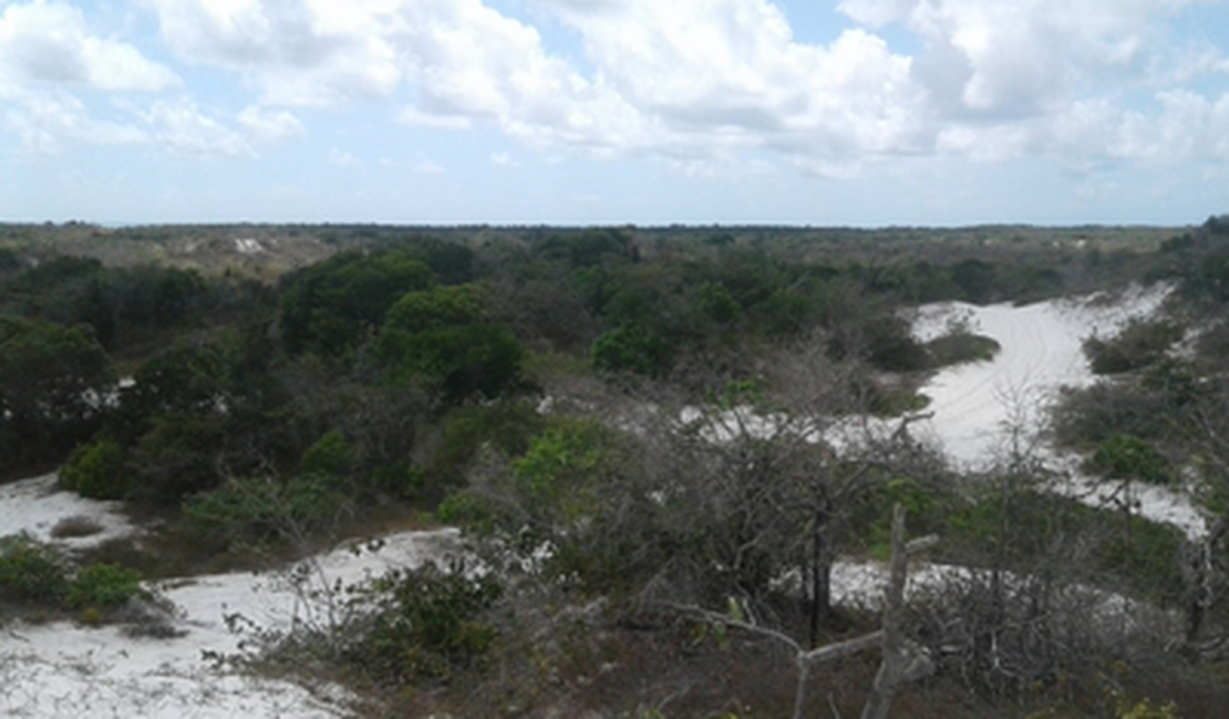 MPF denuncia responsáveis por extração ilegal de areia em área protegida em Marechal Deodoro