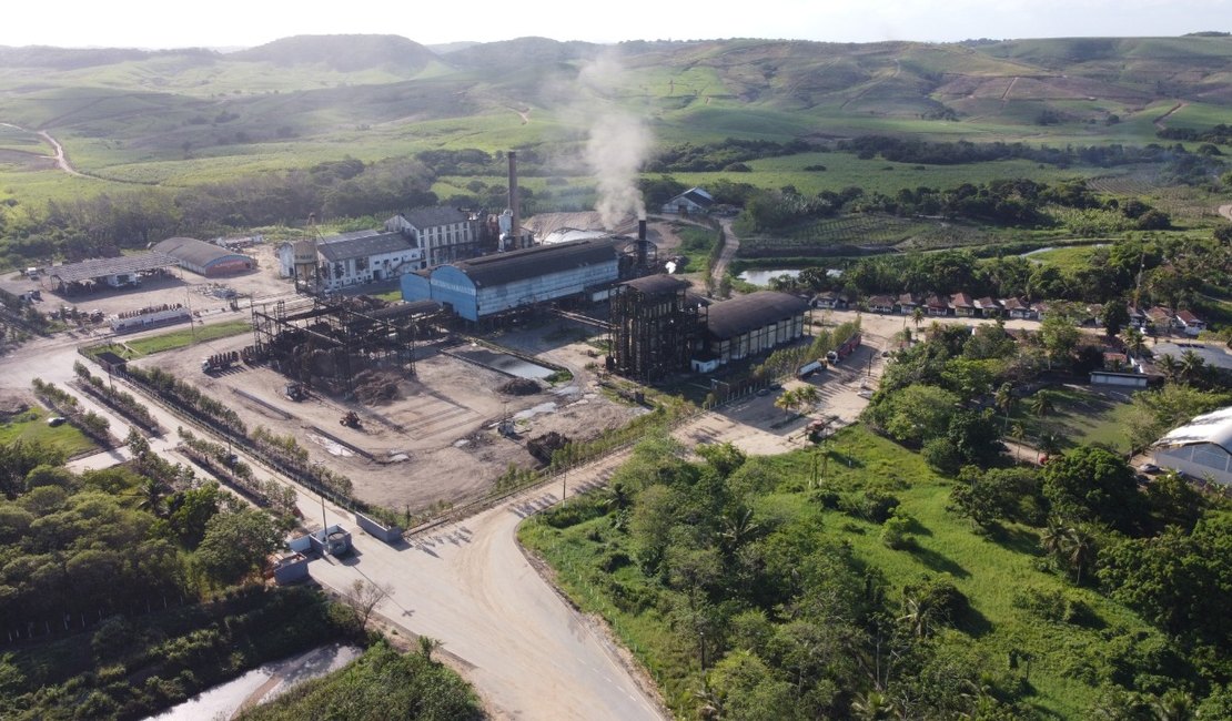 Usina Santa Maria inicia safra com expectativa de crescimento em Porto Calvo