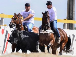 Câmara dos Deputados aprova em segundo turno PEC que viabiliza prática da vaquejada