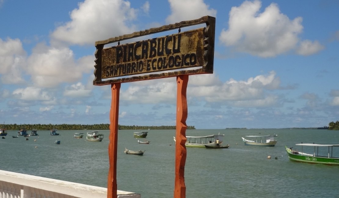 Trecho do Rio São Francisco em Piaçabuçu está impróprio para banho