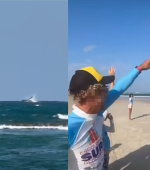 [Vídeo] Banhistas avistam saltos de baleia-jubarte na Praia do Francês